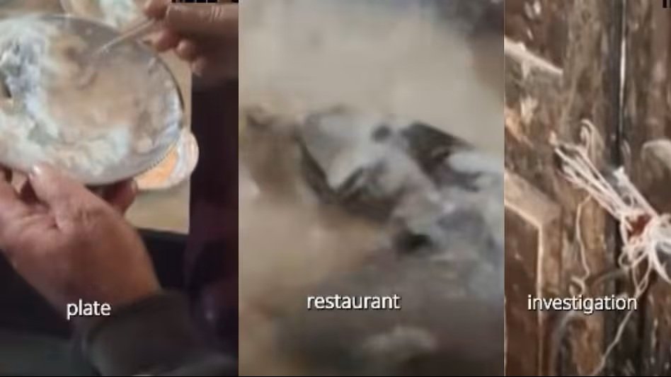 Food Safety : सावधान…! रेस्तरां की दही की थाली में मरा चूहा मिलने का दावा…वीडियो वायरल होते ही प्रशासन की सख्त…यहां देखें Video
