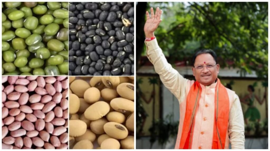 Kharif Marketing Year 2025-26 : केंद्र सरकार का किसान हितैषी निर्णय, दलहन–तिलहन उत्पादन को मिलेगा प्रोत्साहन