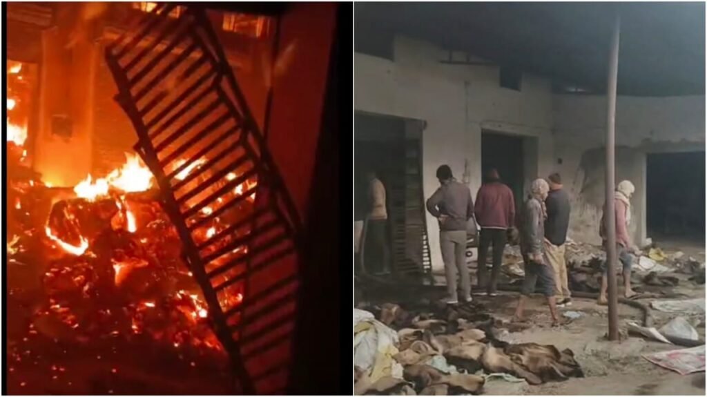 Fire at Rice Mill : सूरजपुर से बड़ी खबर…! राइस मिल में लगी भीषण आग…सैकड़ों बोरे जलकर राख…मौके पर 5 दमकल गाड़ियां…यहां देखें Video