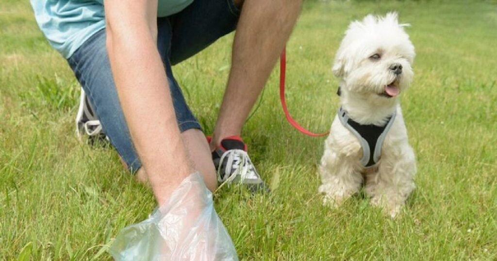 Dog Poop Scooper : शख्स का अनोखा बिजनेस…! कुत्तों की पॉटी उठाकर हर हफ्ते कमा रहा है 2 लाख 36 हजार…पूरा मामला यहां जानें