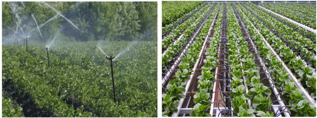 PM Agricultural Irrigation Yojana : प्रधानमंत्री कृषि सिंचाई योजना से किसानों को बहुआयामी लाभ, स्प्रिंकलर व ड्रिप सिंचाई पर 45–55% तक अनुदान