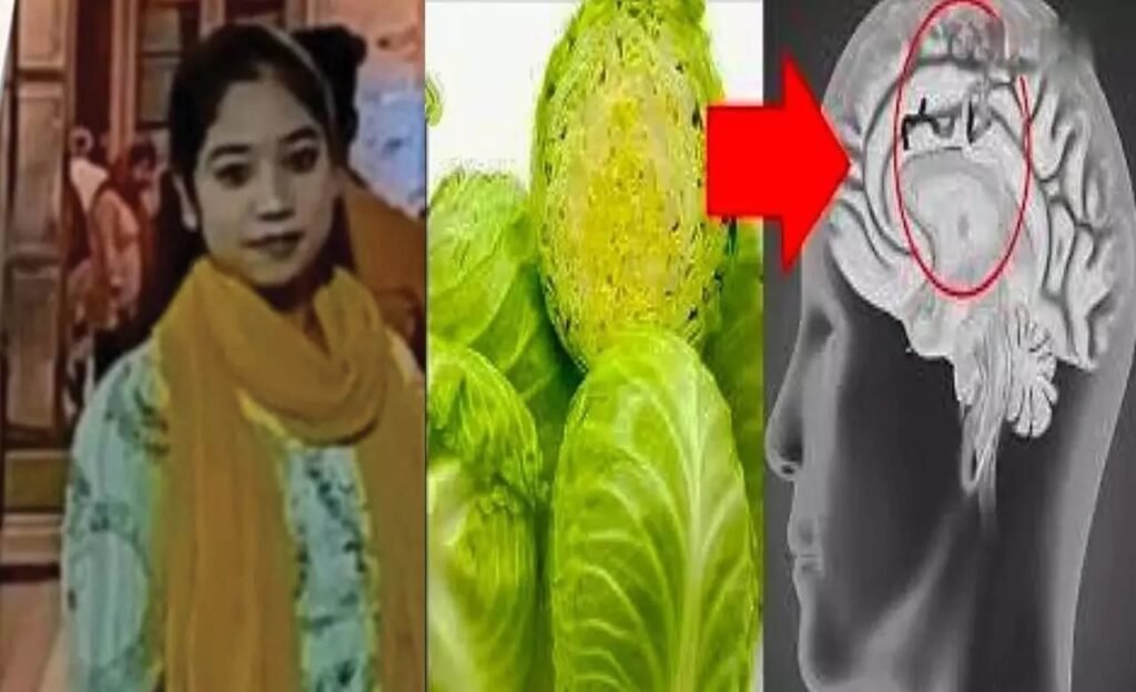 Student Death : बड़ी खबर…पत्ता गोभी का कीड़ा दिमाग तक पहुंचने की आशंका…! छात्रा की मौत…ब्रेन में 20 से ज्यादा गांठ