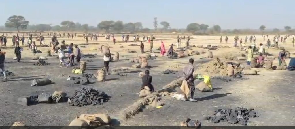 Coal Theft from Mine : सरगुजा से सामने आई चौंकाने वाली घटना…! अमेरा खदान से बड़े पैमाने पर कोयला चोरी का VIDEO वायरल…यहां देखें