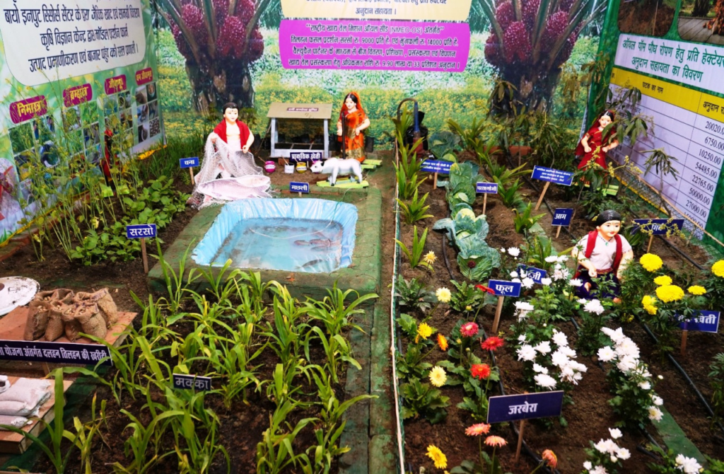 Rajim Kumbh Kalpa Fair : राजिम कुंभ कल्प में आधुनिक खेती का संदेश, उद्यानिकी स्टॉल में पाम फल बना आकर्षण