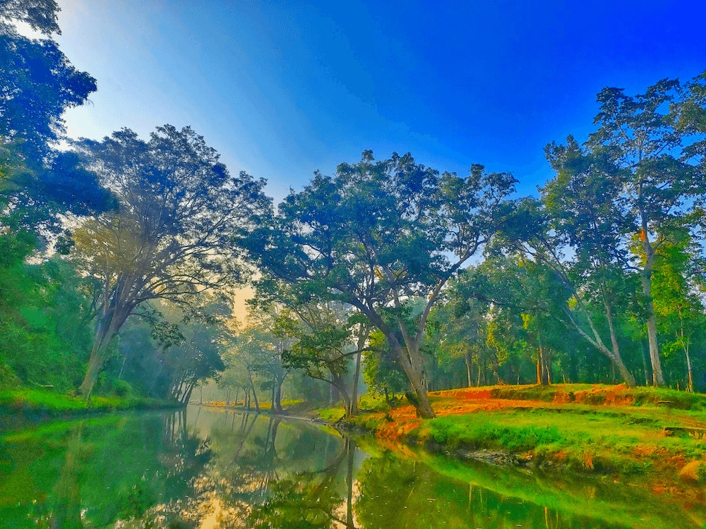 Baranwapara Wildlife Sanctuary : जहां हर कदम पर है प्रकृति का रोमांच