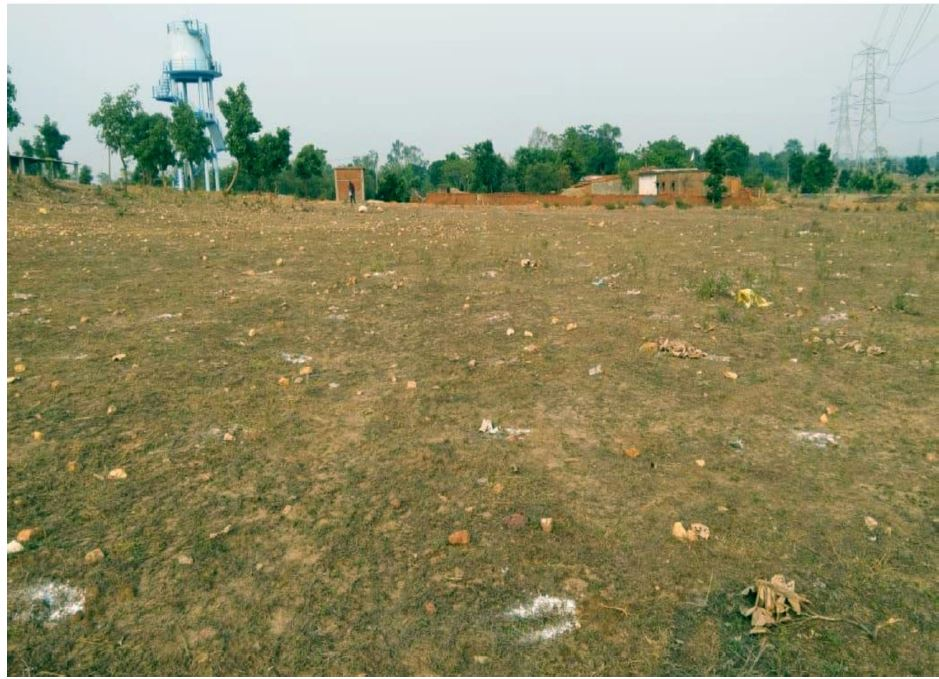 Kusmunda Area Plantation : कुसमुंडा परिक्षेत्र में 20,000 पौधों का सफल रोपण