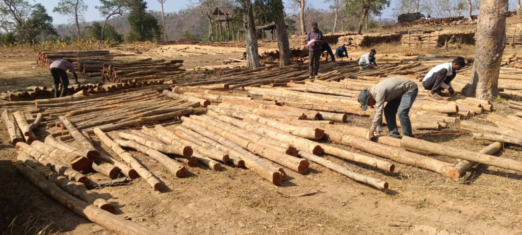 Kawardha Project Board : वन विकास निगम में ‘डिजिटल क्रांति‘ और ‘रोजगार संगम‘ का सफल मॉडल