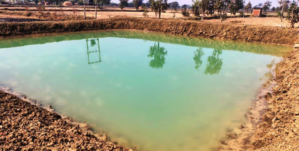 National Rural Employment : राष्ट्रीय ग्रामीण रोजगार गारंटी योजना, मजबूत हुई आजीविका की राह, जल संरक्षण के साथ ही ग्रामीण आजीविका संवर्धन का प्रभावी माध्यम