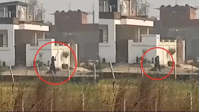 Domestic Violence : दिल दहला देने वाली घटना…! पत्नी ने पति से शराब पीने के लिए मांगे पैसे…मना करने पर पति को बेरहमी से डंडे से पीटकर कर दी हत्या…यहां देखें VIDEO