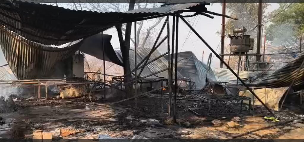 Fire in Girodpuri Dham : बलौदाबाजार ब्रेकिंग…! गिरौदपुरी धाम में भीषण आग…ट्रांसफार्मर पर कूद गया बंदर…देखते ही देखते जल गई कई दुकानें…मचा हाहाकार…यहां देखें मंजर VIDEO