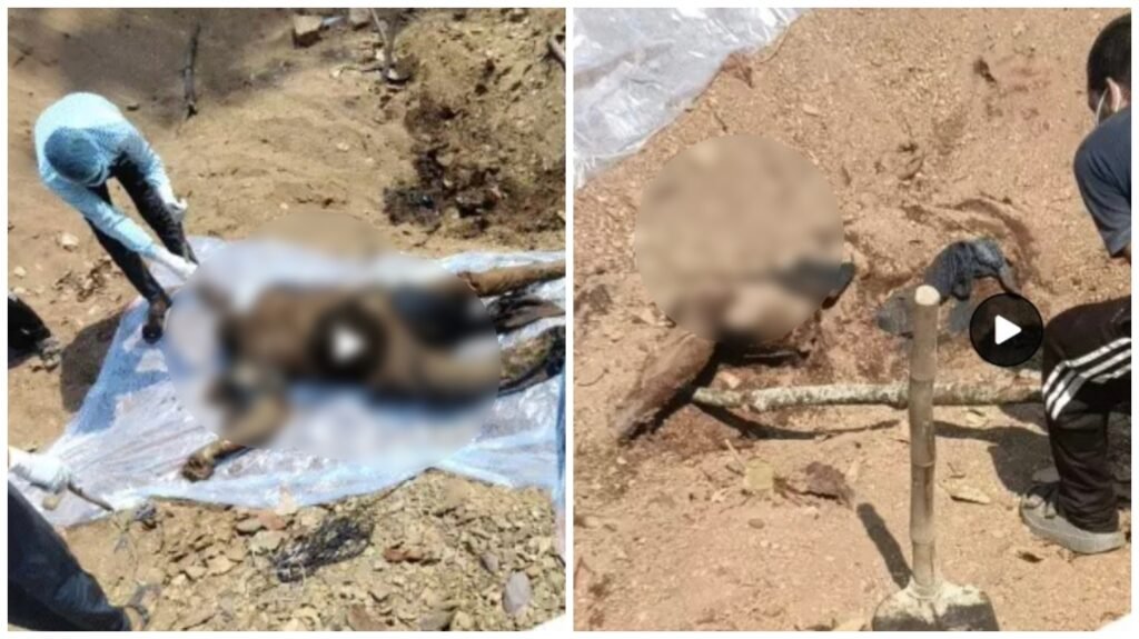 Murder Mystery : ₹4 करोड़ की संपत्ति के लिए भाई की हत्या…! पूजा के बहाने बुलाया और मार डाला…60 KM दूर जंगल में दफनाया…मुंगेली में सनसनीखेज मर्डर मिस्ट्री का रहस्य 8 दिन बाद सुलझा