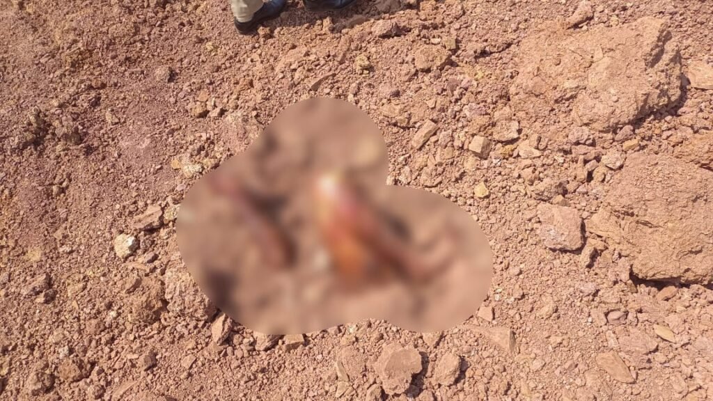 Murder Mystery : रायपुर ब्रेकिंग…! अभनपुर में जमीन में दफन मिला शव…बाहर निकले दिखे हाथ-पैर…इलाके में दहशत