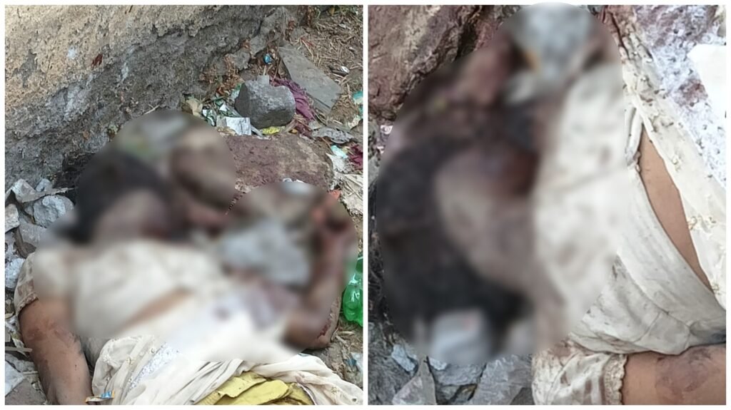 Dead Body : रायपुर ब्रेकिंग…! सरकारी स्कूल परिसर में महिला की हत्या…सिर और चेहरा क्षत-विक्षत…मचा हड़कंप
