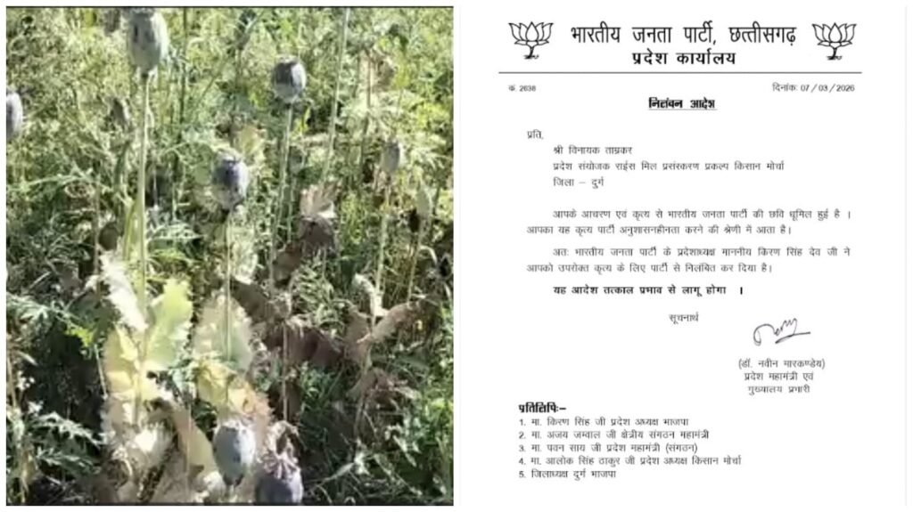 Poppy Cultivation : ब्रेकिंग…! अफीम की खेती…! BJP नेता विनायक ताम्रकार निलंबित…यहां देखें VIDEO
