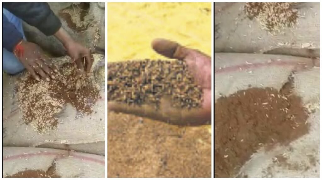 Paddy Procurement : बलौदाबाजार में धान खरीदी में बड़ा घोटाला…! 5300 बोरी धान में 3 kg मिलाई रेत…केंद्र प्रभारी बर्खास्त