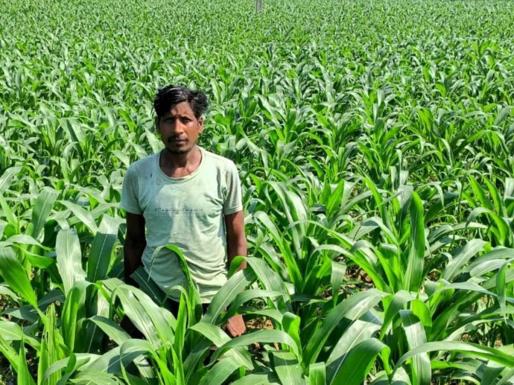 Jashpur Development : धान के बजाय मक्का से बढ़ा मुनाफा, किसान मालती मोहन बने उन्नत खेती की मिसाल