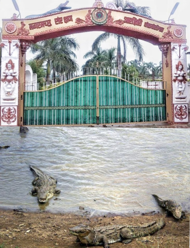 Crocodile Conservation Reserve Center : मगरमच्छ संरक्षण से बदली कोटमीसोनार की तस्वीर, पर्यटन और रोजगार को मिला बढ़ावा