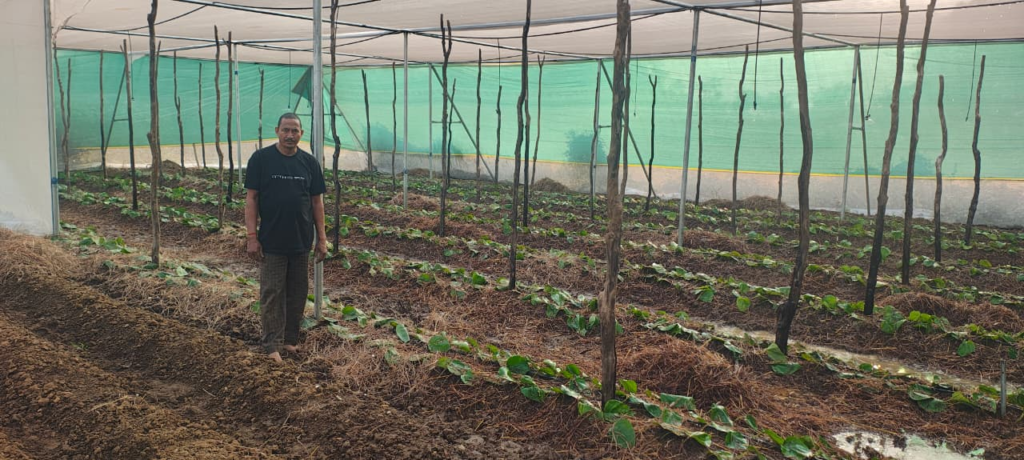 Betel Research Centre : पान की विलुप्त होती खेती को नया जीवन, छुईखदान में पान अनुसंधान केन्द्र की स्थापना