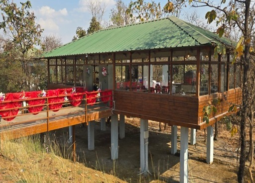 Eco-Tourism : प्रकृति की गोद में रोमांच- मोहरेंगा नेचर सफारी, मोहरेंगा में जिप्सी सफारी और कॉटेज सुविधा शुरू