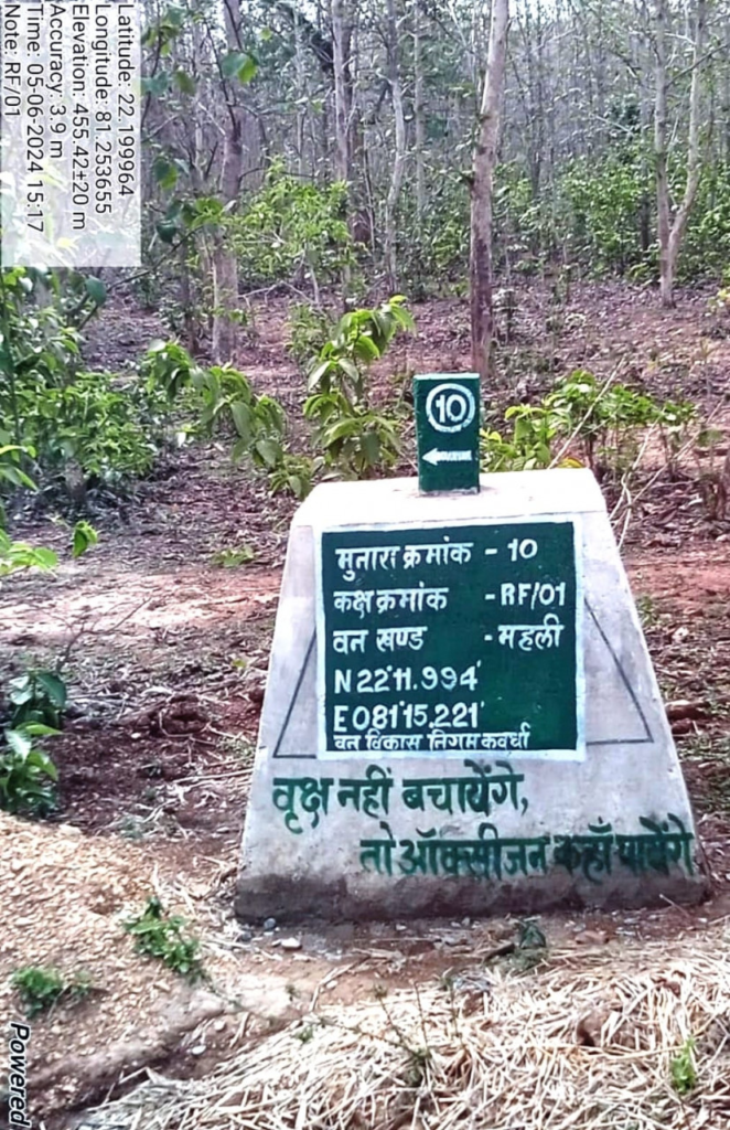 Construction of Boundary Pillars : वनों की सुरक्षा को मिला नया कवच- 227 मुनारों का निर्माण पूर्ण