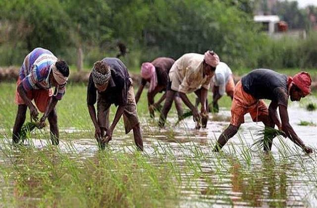 CG Agricultural Workers : भूमिहीन कृषि मजदूर कल्याण योजना के तहत 25 मार्च को राशि वितरण कार्यक्रम, जिला मुख्यालय में मंत्री दयालदास बघेल होंगे मुख्य अतिथि
