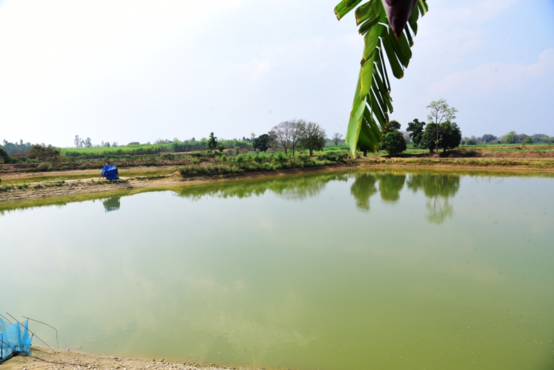 PM Matsya Sampada Yojana : मछली पालन और कृषि से ग्राम पल्ली के किसान पाकलू मरकाम हुए सशक्त