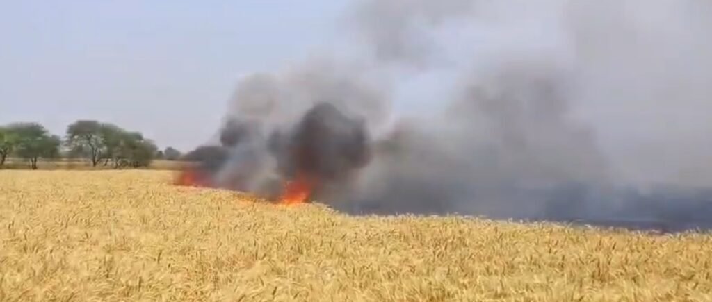 Crop Fire : बिग ब्रेकिंग…! सारंगढ़ में भीषण आग…! खेत का ये हाल देख बिलख पड़े किसान…15 एकड़ गेहूं और सरसों की फसल खाक…यहां देखें Video