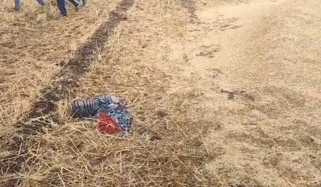 Death by Lightning : महिला खेत में काट रही थी गेहूं…अचानक गिरी आकाशीय बिजली…मौके पर दर्दनाक मौत…इलाके में शोक…यहां देखें VIDEO