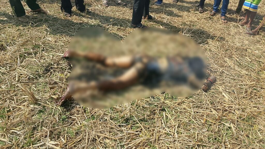 Mystery Death : बलौदाबाजार से सामने आया खौफनाक मंजर…! खेत में धुआं निकलता मिला महिला का जला हुआ शव…इलाके में हड़कंप…यहां देखें VIDEO