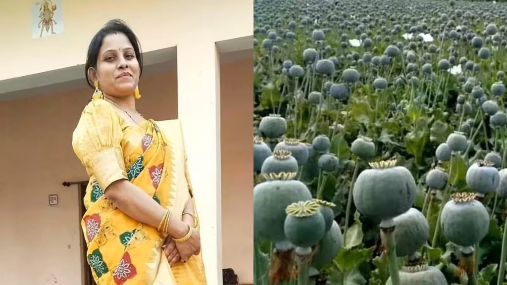 Collector Action : बिग ब्रेकिंग…प्रदर्शन प्लॉट में धान…रिपोर्ट में मक्का…और खेत में अफीम…! जांच में चौंकाने वाला बड़ा खुलासा…कृषि विस्तार अधिकारी एकता साहू सस्पेंड…यहां देखें