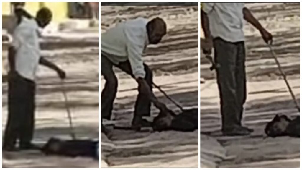 Psychotic Criminal : दिल दहला देने वाली वारदात…! किशोर की हथौड़े से बेरहमी से हत्या…लाश के जख्मी हिस्से से मांस का टुकड़ा खींच कर खाया…खौफनाक मंजर देख दहशत में ग्रामीण…कमजोर दिल वाले न देखें VIDEO