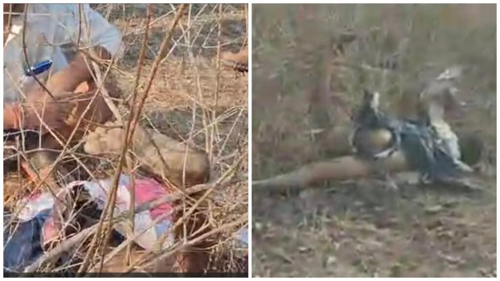 Elephant Attack : ब्रेकिंग…मरवाही में कहर…! सुबह सवेरे हाथी पहुंचा गांव…सामने मिला अधेड़…चीखता हुए बचने की भरपूर कोशिश…कुचलकर मार डाला…गांव में दहशत…VIDEO