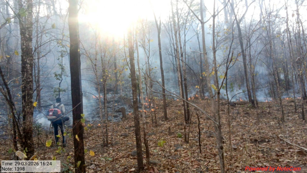 CG State Forest Development Corporation : 25 हजार हेक्टेयर क्षेत्र में ‘फायर अलर्ट’ सिस्टम बना मजबूत सुरक्षा कवच…तकनीक, तत्परता और जनसहभागिता से सुरक्षित हो रहे कवर्धा के वन