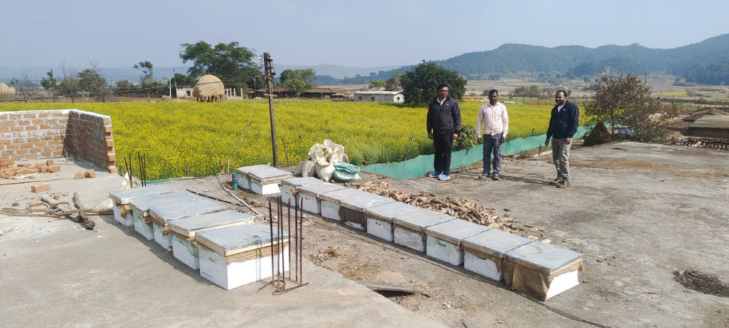 Beekeeping : कम लागत में ज्यादा मुनाफे का बेहतर विकल्प