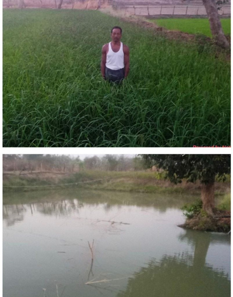 Rural Development : डबरी, मछली पालन और बहुफसली खेती से बदली तकदीर—सगनू बने गांव के प्रेरणास्रोत