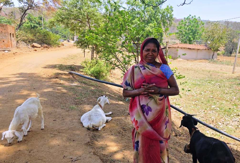 Mahtari Vandan योजना से संवर रही पहाड़ी कोरवा परिवारों की तकदीर… बकरी पालन बना आजीविका का सशक्त माध्यम, मुख्यमंत्री के प्रति जताया आभार