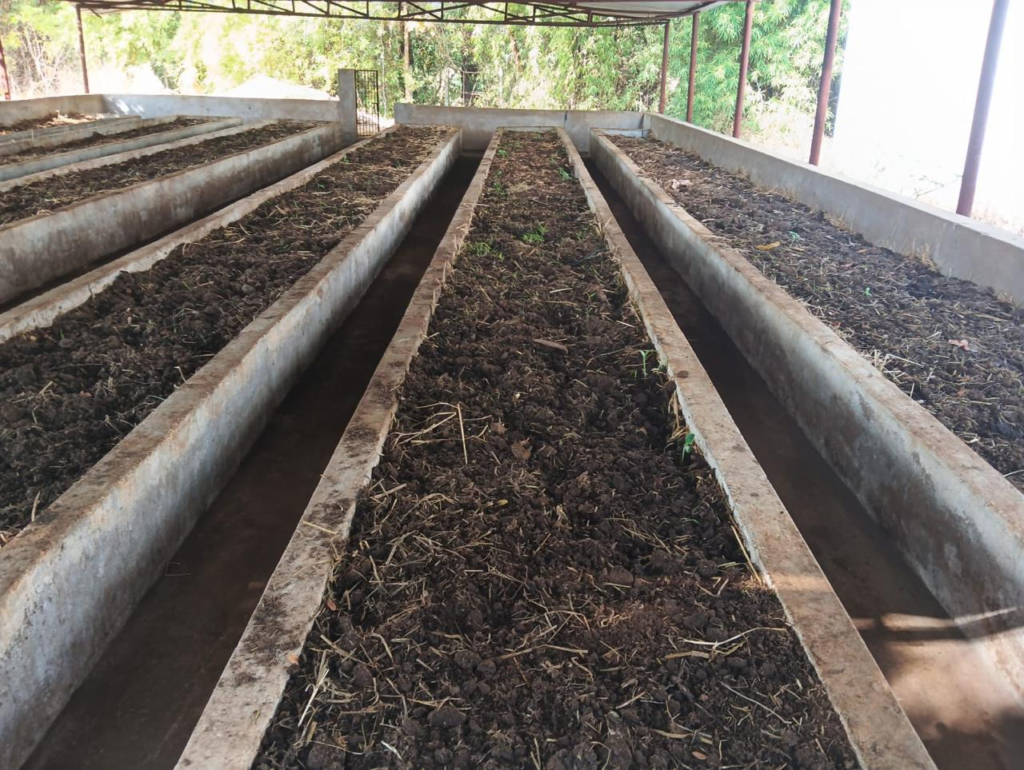 Vermi Compost उत्पादन बनी आत्मनिर्भरता की मिसाल, कम संसाधनों में बड़ी उपलब्धि
