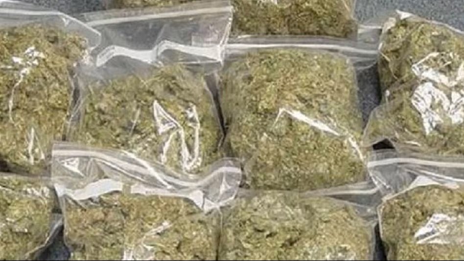 Drug Smuggling Network Bust : ब्रेकिंग…₹20 करोड़ का गांजा जब्त…! NCB का बड़ा एक्शन…ट्रक में ऐसे छुपाकर हो रही थी तस्करी