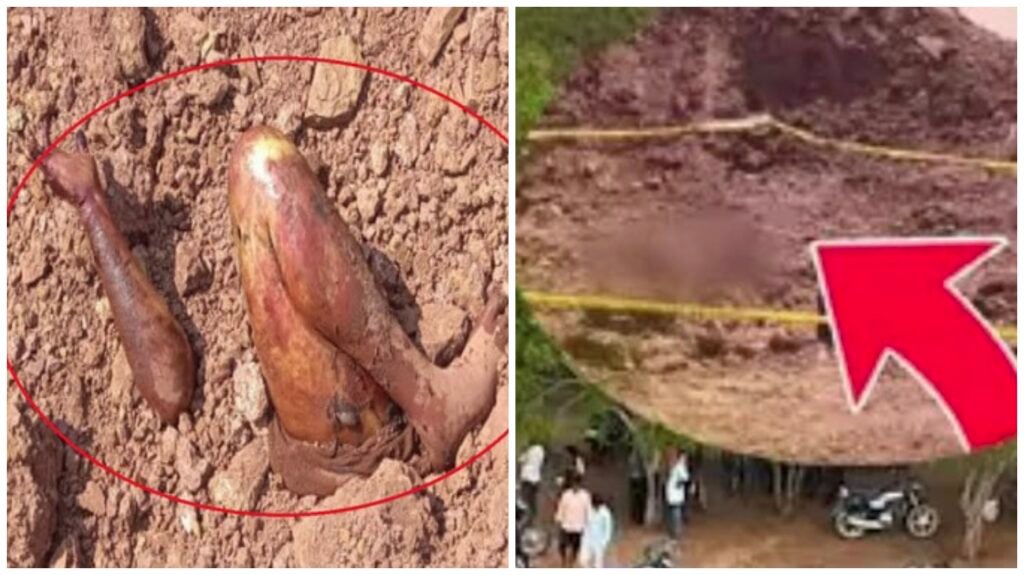Murder Mystery : रायपुर ब्रेकिंग…युवक को जिंदा दफना कर मार डाला गया…! जमीन से बाहर निकल आए थे हाथ-पैर…पोस्टमॉर्टम रिपोर्ट में चौंकाने वाला खुलासा