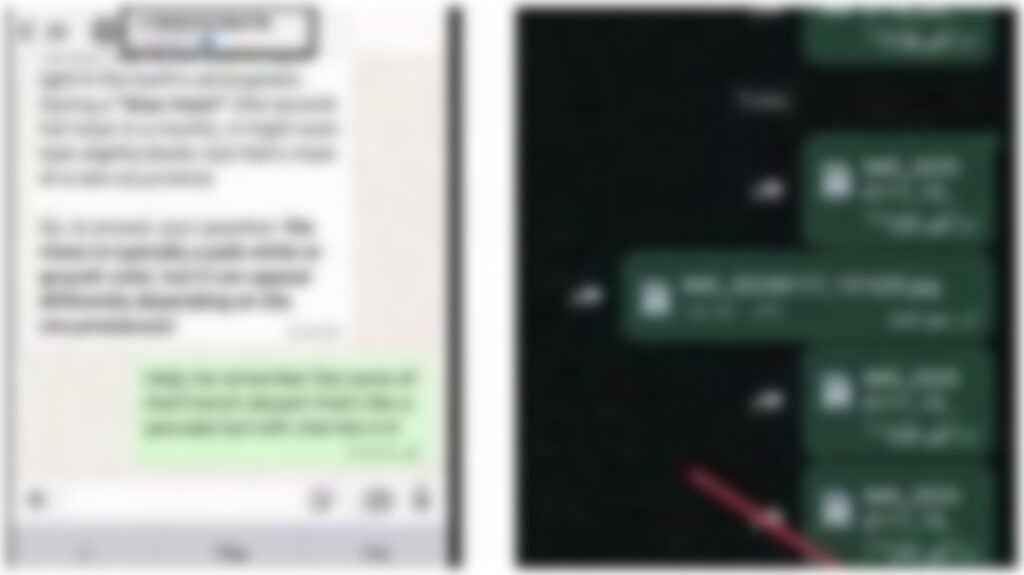 Cyber ​​Harassment : रायपुर में महिला अधिकारी से अश्लील हरकत…! कॉल कर की सेक्स की डिमांड…विरोध करने पर व्हाट्सऐप पर भेजी नग्न फोटो…FIR दर्ज अब खोज रही है पुलिस