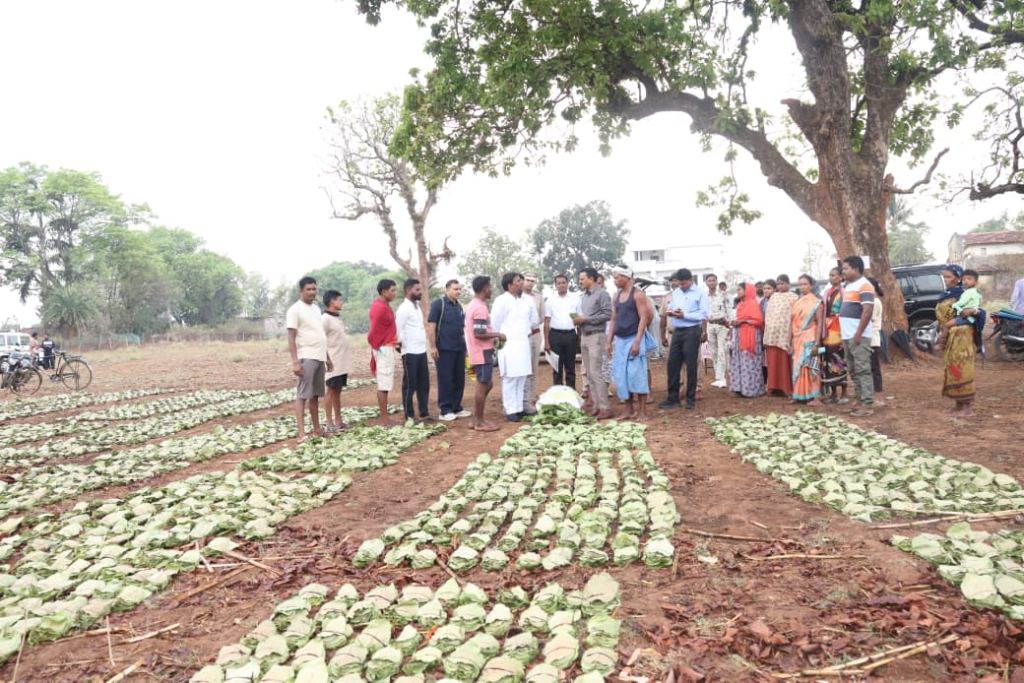 Tendu Leaf Collection में छत्तीसगढ़ ने बनाया नया रिकॉर्ड, अब तक 13.52 लाख मानक बोरा संग्रहित