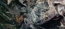 Korea Triple Murder: BJP leader burned alive along with his car amidst a sand dispute! Section 163 imposed in Korea following the three murders; the area has been turned into a police cantonment.