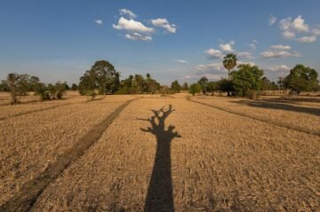 Monsoon Alert 2026: Monsoon rainfall 46% below normal...! Weak monsoon arrives in the country... threats ranging from paddy crops to drinking water supplies... IMD issues major update.