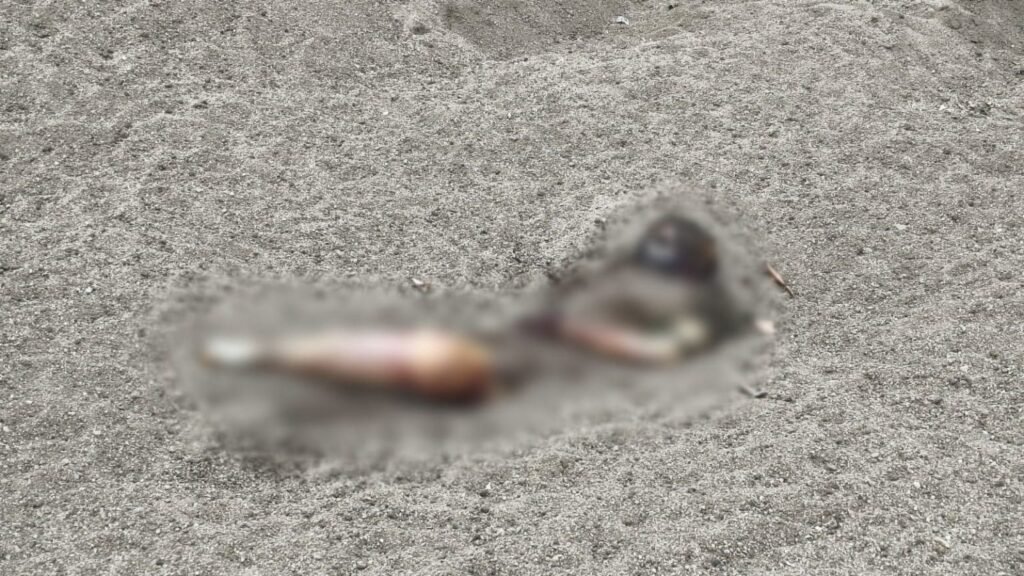 Birthday Girl Murder Mystery : प्रेमी ने बर्थडे गिफ्ट के बहाने रात को बुलाया…आंखें बंद करवाईं और पत्थर से कुचलकर कर दी हत्या…! जन्मदिन के बाद लापता हुई भारती की मौत का सनसनीखेज खुलासा