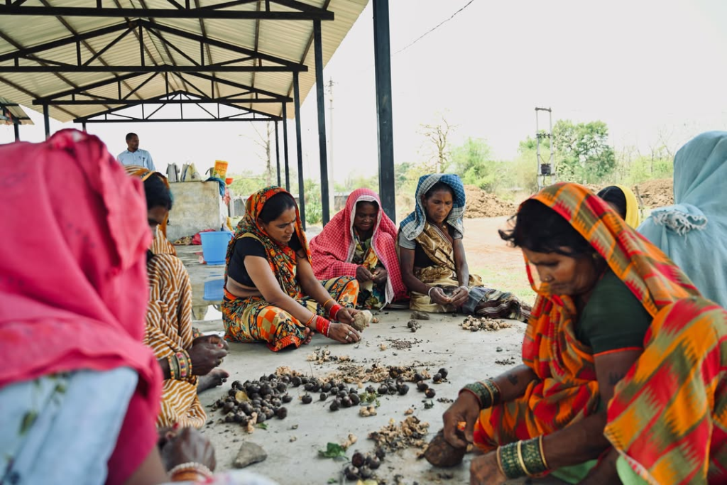 Seed Ball अभियान के साथ हरियाली की नई शुरुआत