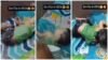 Viral Video of Child Abuse: Sheer cruelty! A bucket full of water was poured over a sleeping child... Police swung into action as soon as the video went viral... Watch it here.