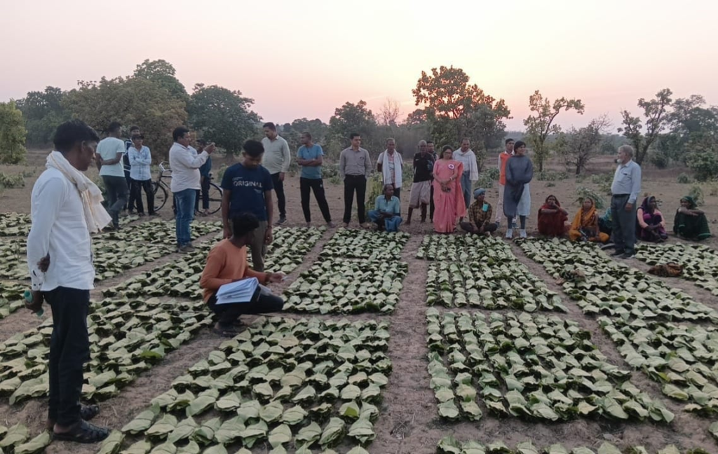 Tendu Leaf Collector : साय सरकार के सुशासन में तेन्दूपत्ता संग्राहकों को मिली आर्थिक मजबूती, 10,160 हितग्राहियों के खातों में पहुँची 1.39 करोड़ रुपये से अधिक की बोनस राशि