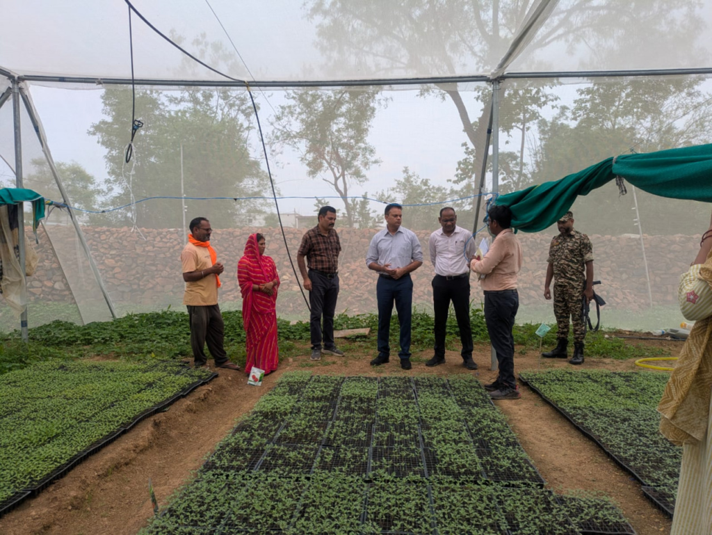 IFC Project ने बदली जिंदगी, नर्सरी उद्यमी बनकर बनी आत्मनिर्भरता की नई पहचान
