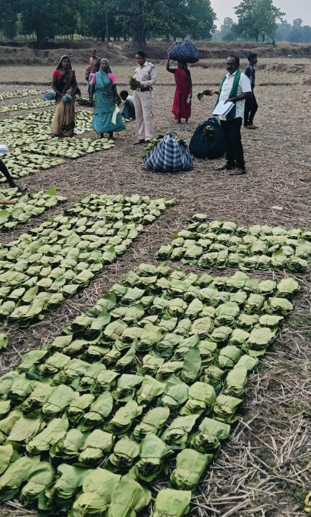 Tendu Leaf Collector के खातों में पहुंचने लगी बोनस राशि, धरमजयगढ़ जिला यूनियन के 46 हजार 840 संग्राहकों को मिलेंगे 17.43 करोड़ रुपये बोनस राशि