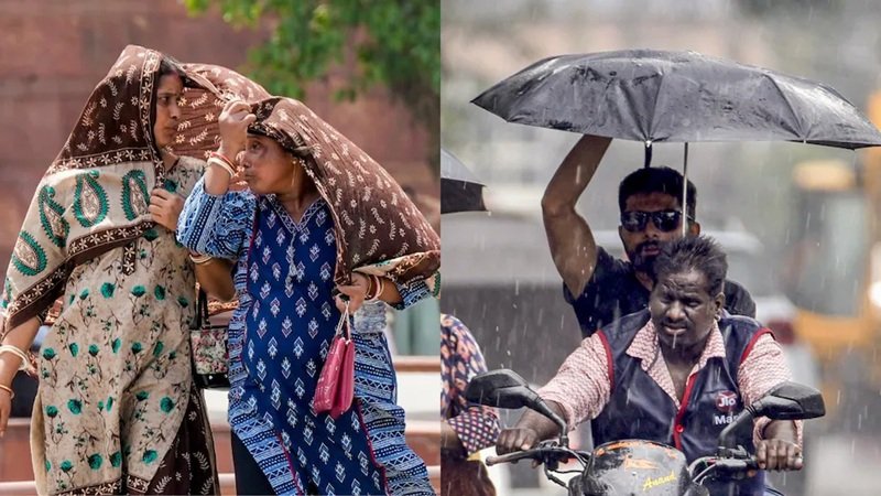 Rain Alert : अगले 3 घंटे बेहद अहम…! छत्तीसगढ़ के 3 जिलों में येलो अलर्ट…बारिश के साथ गिर सकती है बिजली